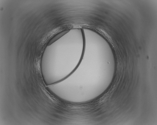 X0000062640405200601181750