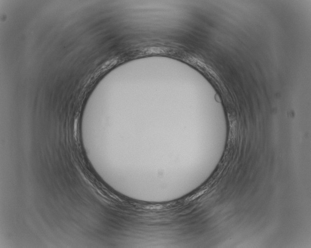 X0000062640406200601181750