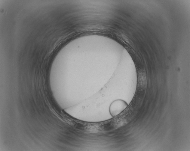 X0000062640408200601181750