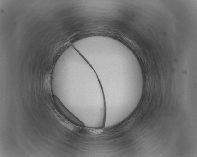 X0000062640409200601181750