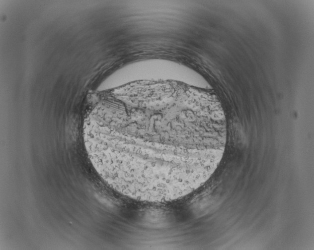 X0000062640412200601181750