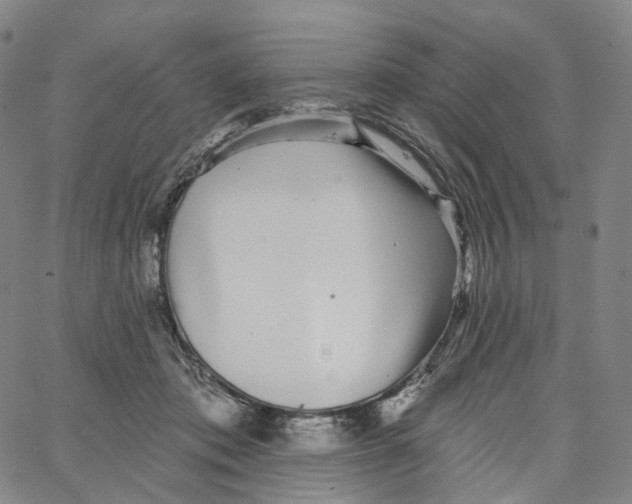 X0000062640413200601181750