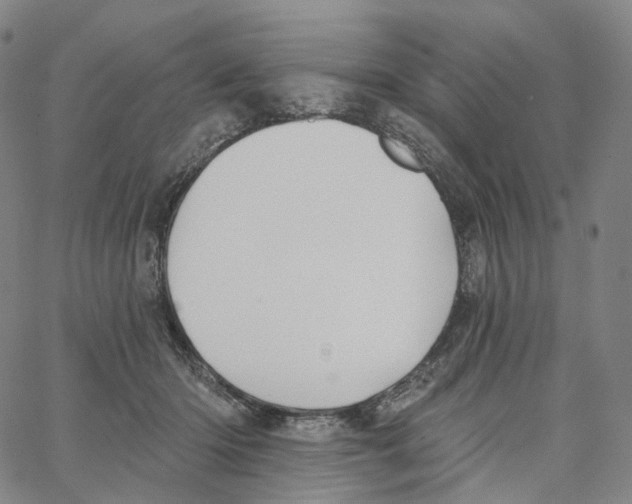 X0000062640414200601181750