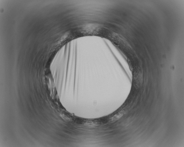 X0000062640416200601181750