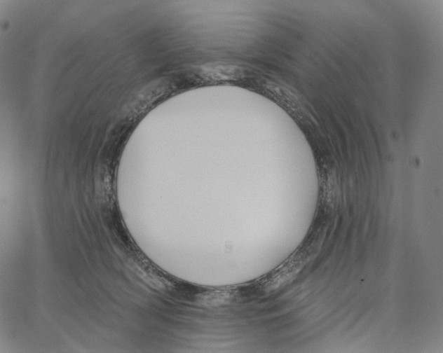 X0000062640418200601181750