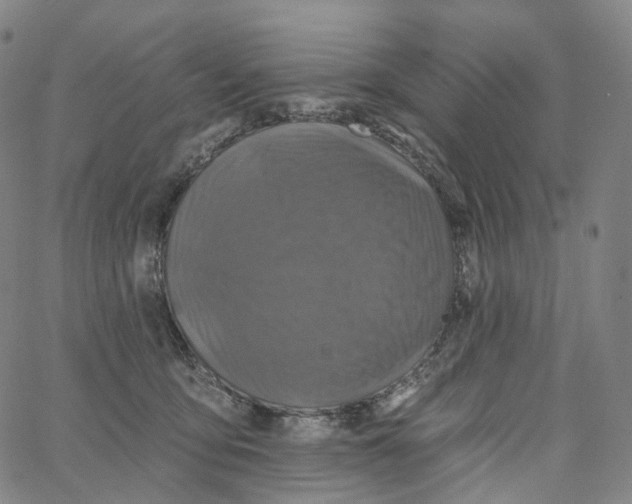 X0000062640419200601181749