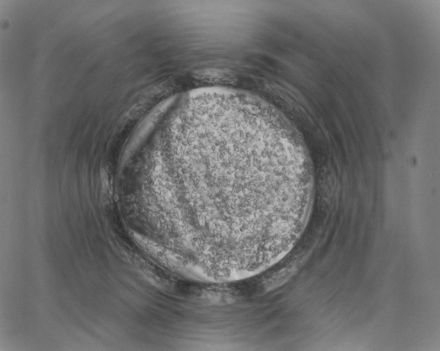 X0000062640420200601181749