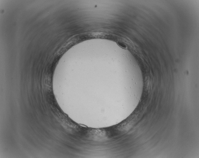 X0000062640421200601181749