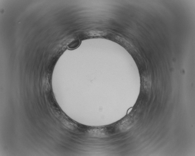 X0000062640422200601181749