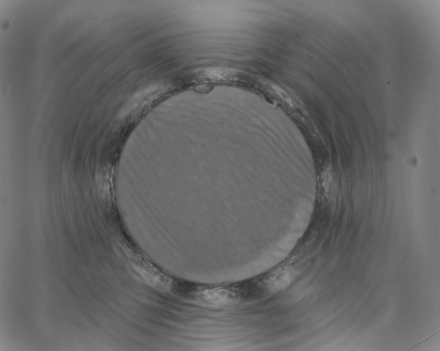 X0000062640423200601181749