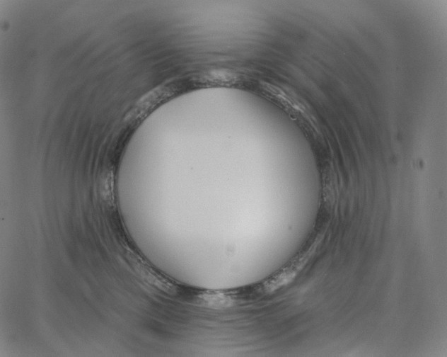 X0000062640425200601181749