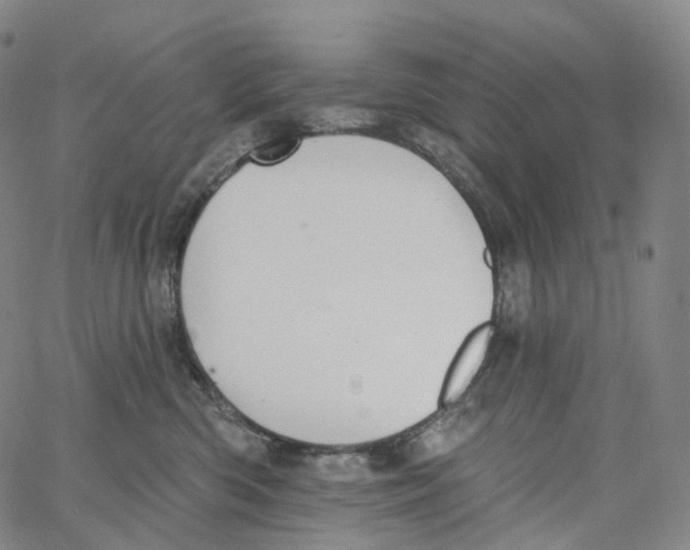 X0000062640426200601181749