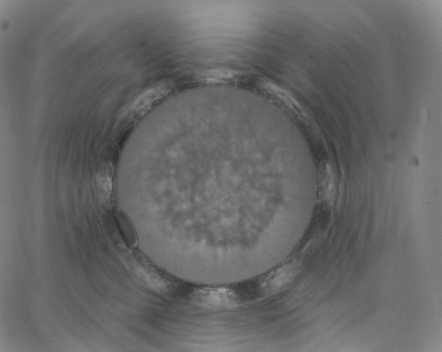 X0000062640427200601181749