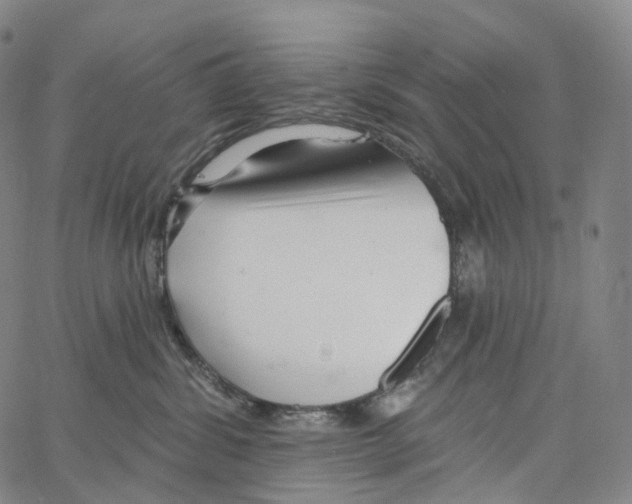 X0000062640428200601181749