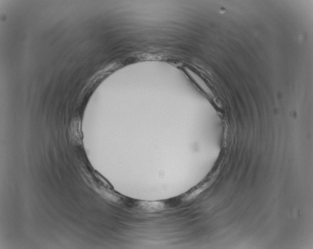 X0000062640429200601181749