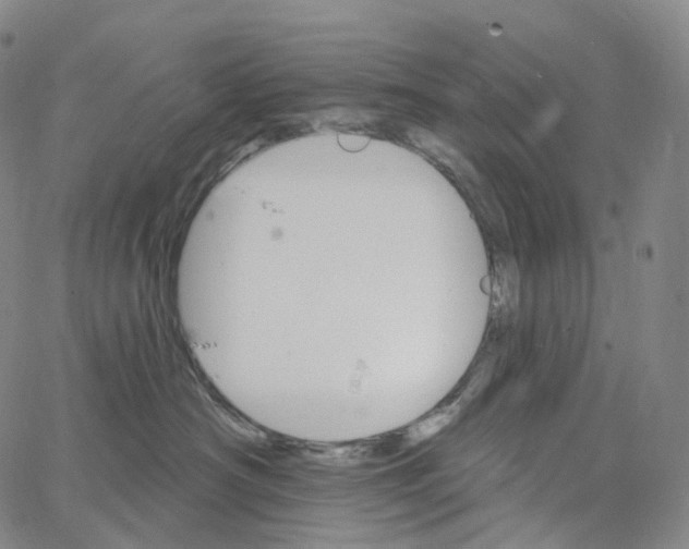 X0000062640430200601181749