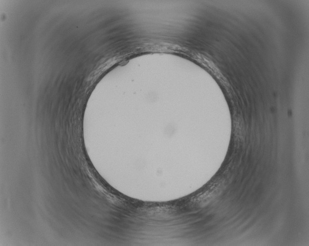 X0000062640433200601181748