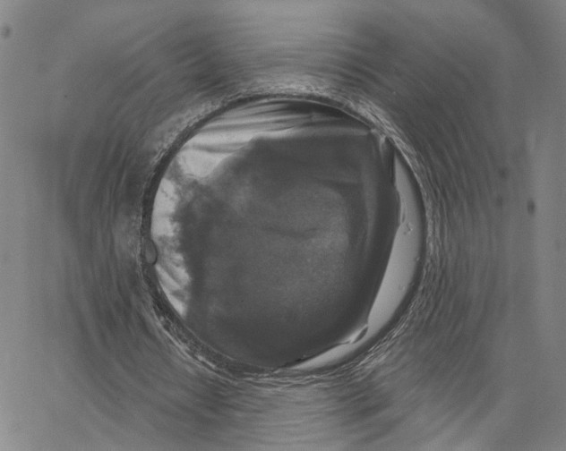 X0000062640434200601181749