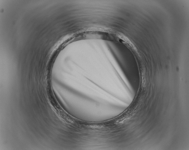 X0000062640436200601181749