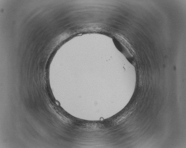 X0000062640439200601181749