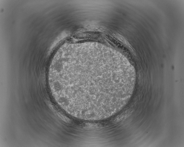 X0000062640442200601181749