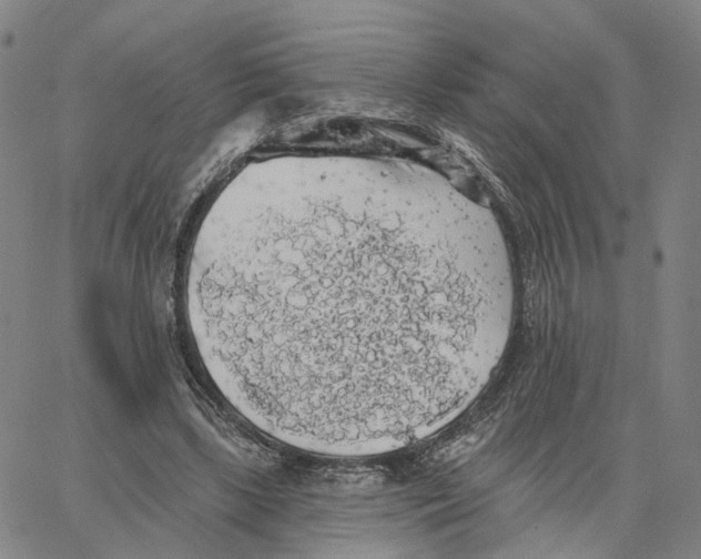 X0000062640443200601181749