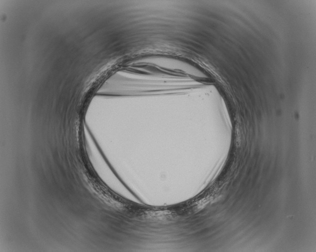 X0000062640446200601181749