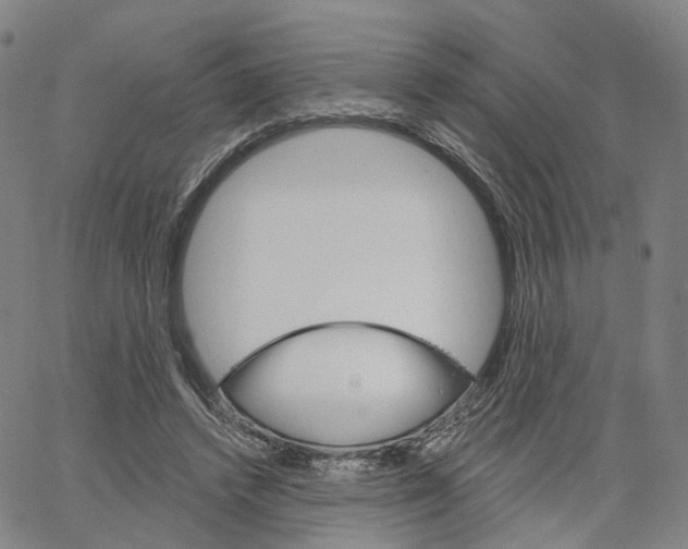 X0000062640448200601181749