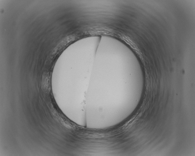 X0000062640449200601181749