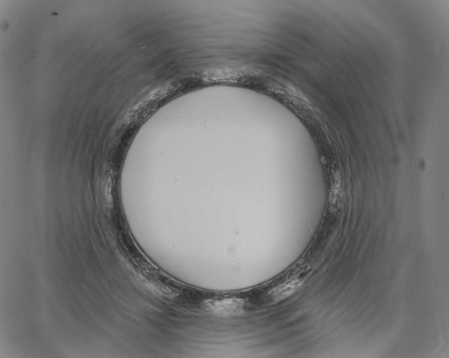 X0000062640452200601181749