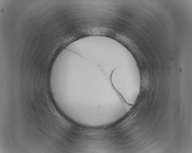 X0000062640453200601181749