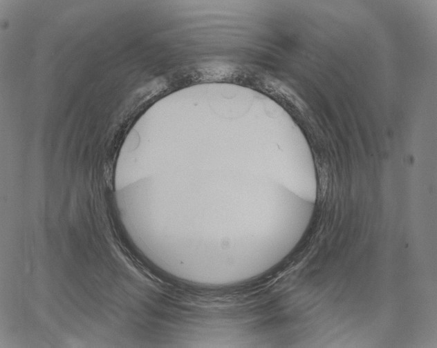 X0000062640455200601181749