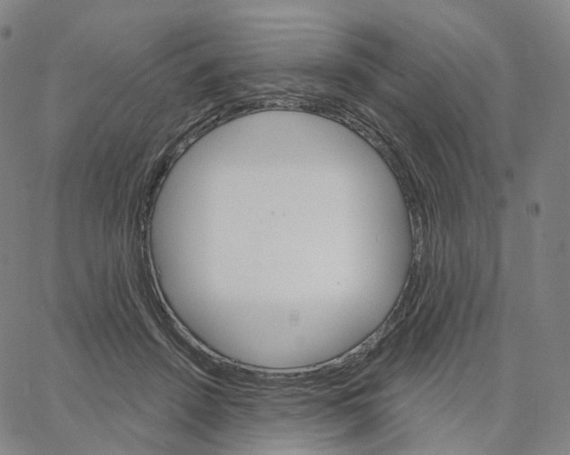 X0000062640456200601181749