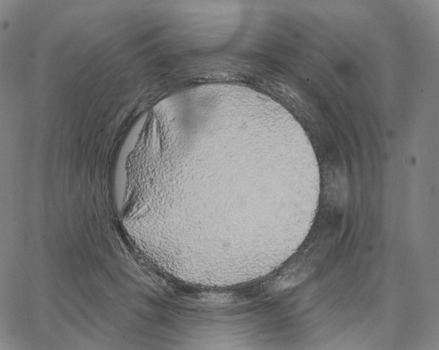 X0000062640457200601181749