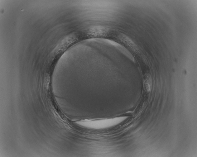 X0000062640458200601181749