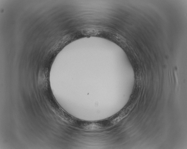 X0000062640460200601181749