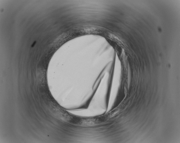 X0000062640461200601181749