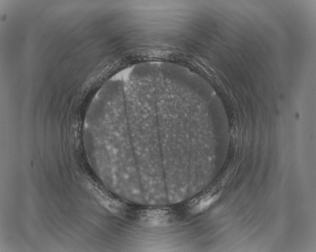 X0000062640462200601181749