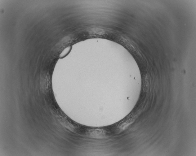 X0000062640463200601181749