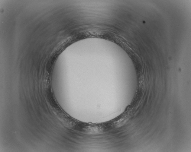 X0000062640464200601181749