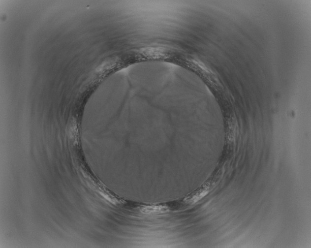 X0000062640465200601181749