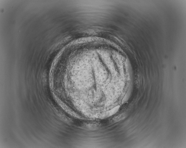 X0000062640466200601181749