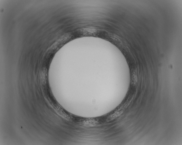 X0000062640468200601181749