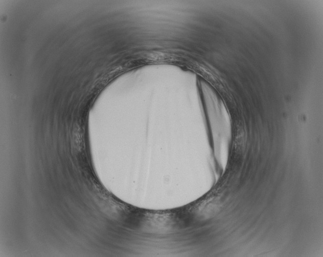 X0000062640469200601181749