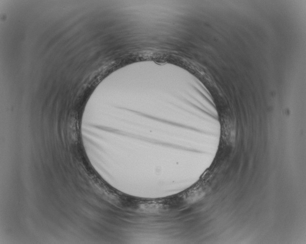 X0000062640470200601181749