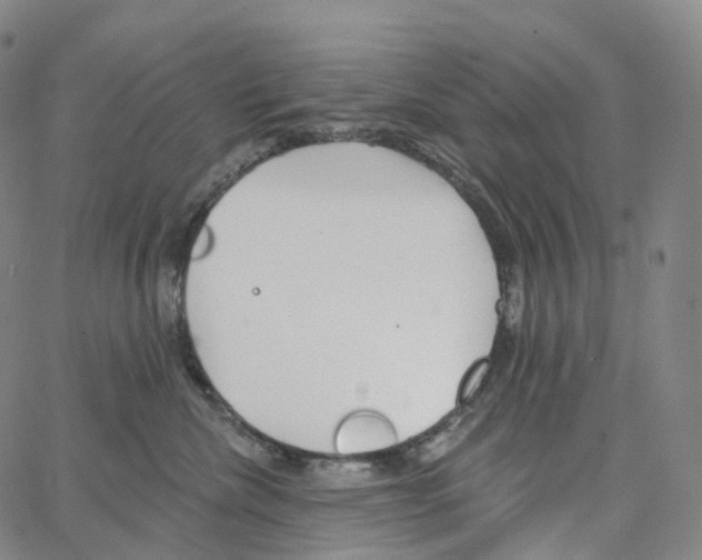 X0000062640476200601181749