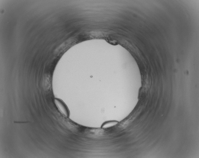 X0000062640478200601181749