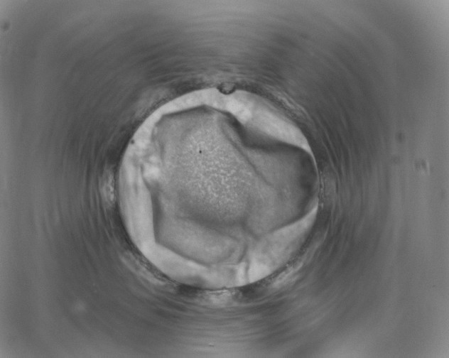 X0000062640479200601181749