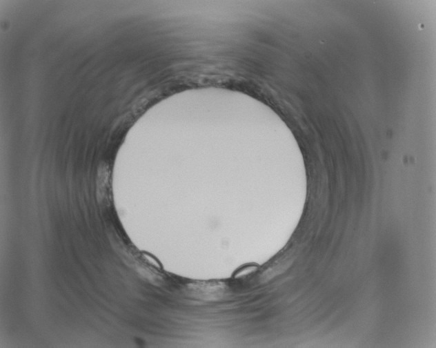 X0000062640480200601181749