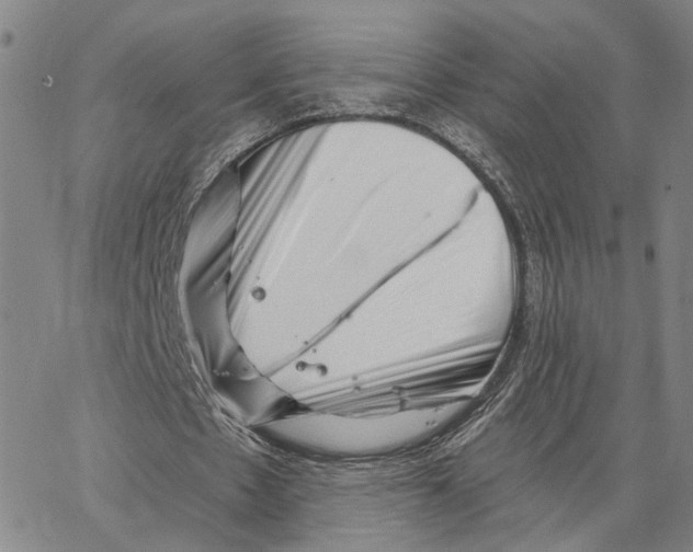 X0000062640481200601181748